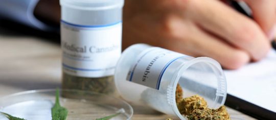 Vertus sur la santé du cannabis médical