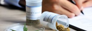 Vertus sur la santé du cannabis médical