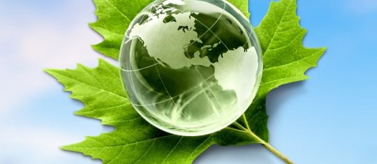 Master en environnement