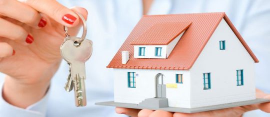 immobilier