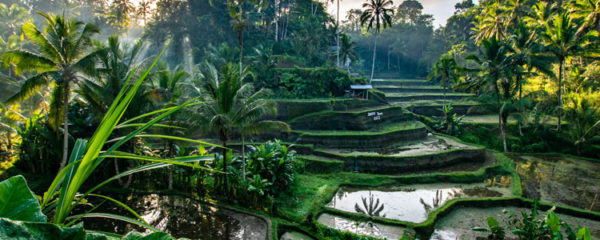 Bali