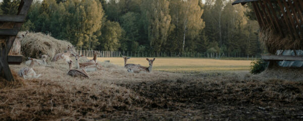 parc animalier rhône-alpes