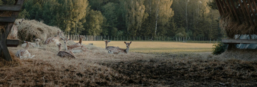 parc animalier rhône-alpes