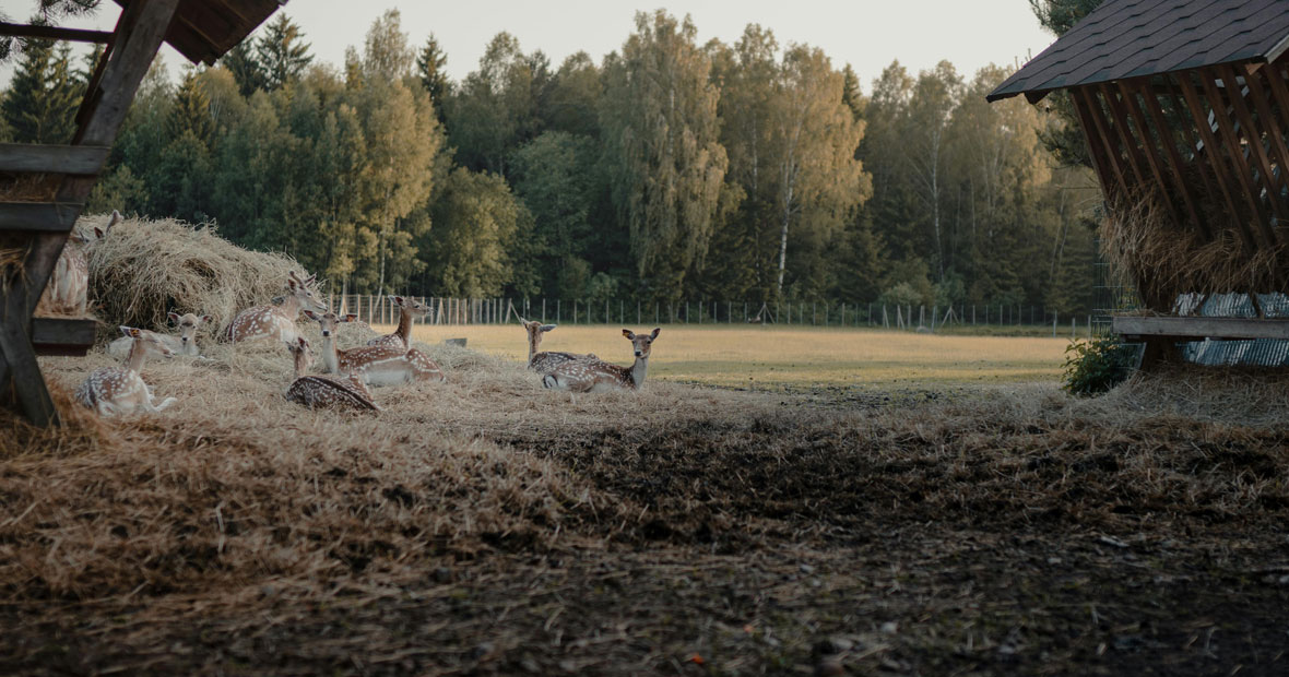 parc animalier rhône-alpes